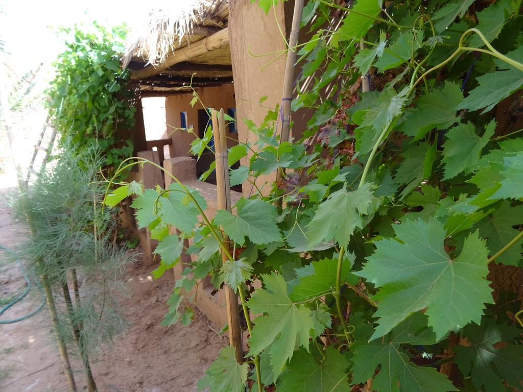 Auberge Tigida M'Hamid El Ghizlane Exterior foto